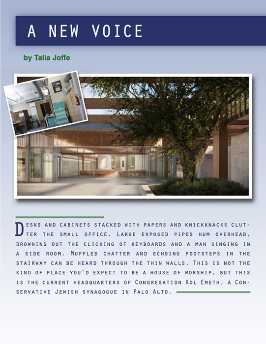 Article by Talia Joffe